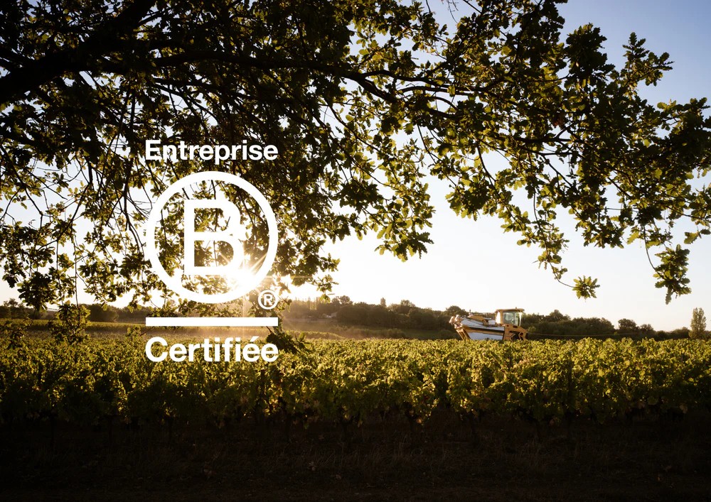 Vignoble avec logo Entreprise B Certifiée